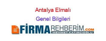Antalya+Elmalı Genel+Bilgileri