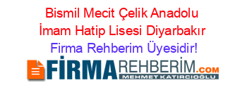 Bismil+Mecit+Çelik+Anadolu+İmam+Hatip+Lisesi+Diyarbakır Firma+Rehberim+Üyesidir!