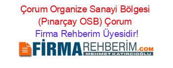 Çorum+Organize+Sanayi+Bölgesi+(Pınarçay+OSB)+Çorum Firma+Rehberim+Üyesidir!