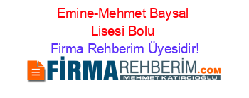 Emine-Mehmet+Baysal+Lisesi+Bolu Firma+Rehberim+Üyesidir!