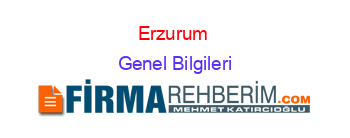 Erzurum+ Genel+Bilgileri