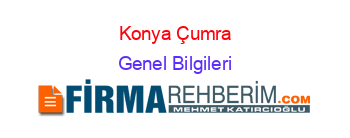 Konya+Çumra Genel+Bilgileri