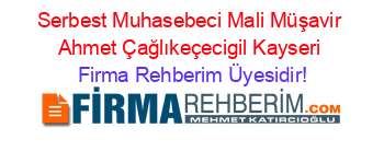 Serbest+Muhasebeci+Mali+Müşavir+Ahmet+Çağlıkeçecigil+Kayseri Firma+Rehberim+Üyesidir!
