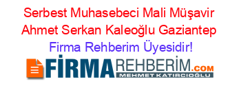 Serbest+Muhasebeci+Mali+Müşavir+Ahmet+Serkan+Kaleoğlu+Gaziantep Firma+Rehberim+Üyesidir!