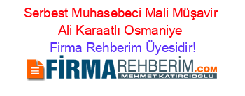 Serbest+Muhasebeci+Mali+Müşavir+Ali+Karaatlı+Osmaniye Firma+Rehberim+Üyesidir!
