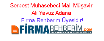 Serbest+Muhasebeci+Mali+Müşavir+Ali+Yavuz+Adana Firma+Rehberim+Üyesidir!