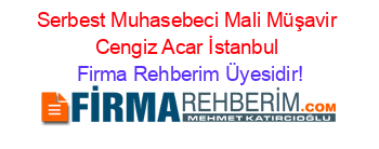 Serbest+Muhasebeci+Mali+Müşavir+Cengiz+Acar+İstanbul Firma+Rehberim+Üyesidir!