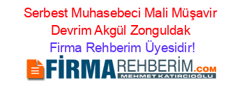Serbest+Muhasebeci+Mali+Müşavir+Devrim+Akgül+Zonguldak Firma+Rehberim+Üyesidir!