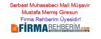 Serbest+Muhasebeci+Mali+Müşavir+Mustafa+Memiş+Giresun Firma+Rehberim+Üyesidir!