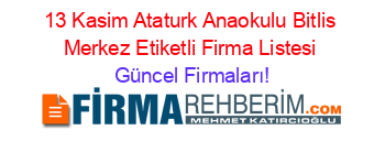 13+Kasim+Ataturk+Anaokulu+Bitlis+Merkez+Etiketli+Firma+Listesi Güncel+Firmaları!
