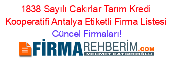 1838+Sayılı+Cakırlar+Tarım+Kredi+Kooperatifi+Antalya+Etiketli+Firma+Listesi Güncel+Firmaları!