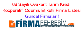 66+Sayili+Ovakent+Tarim+Kredi+Kooperatifi+Odemis+Etiketli+Firma+Listesi Güncel+Firmaları!