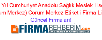 75.+Yıl+Cumhuriyet+Anadolu+Sağlık+Meslek+Lisesi+(Corum+Merkez)+Corum+Merkez+Etiketli+Firma+Listesi Güncel+Firmaları!