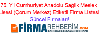 75.+Yil+Cumhuriyet+Anadolu+Sağlik+Meslek+Lisesi+(Çorum+Merkez)+Etiketli+Firma+Listesi Güncel+Firmaları!
