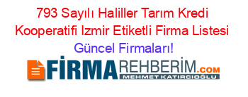 793+Sayılı+Haliller+Tarım+Kredi+Kooperatifi+Izmir+Etiketli+Firma+Listesi Güncel+Firmaları!
