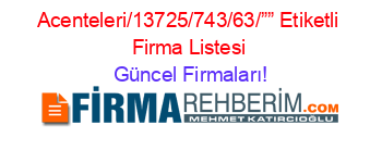 Acenteleri/13725/743/63/””+Etiketli+Firma+Listesi Güncel+Firmaları!