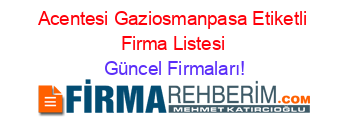 Acentesi+Gaziosmanpasa+Etiketli+Firma+Listesi Güncel+Firmaları!
