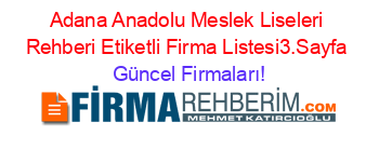 Adana+Anadolu+Meslek+Liseleri+Rehberi+Etiketli+Firma+Listesi3.Sayfa Güncel+Firmaları!