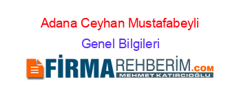 Adana+Ceyhan+Mustafabeyli Genel+Bilgileri