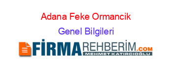Adana+Feke+Ormancik Genel+Bilgileri