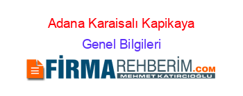 Adana+Karaisalı+Kapikaya Genel+Bilgileri