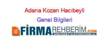 Adana+Kozan+Hacıbeyli Genel+Bilgileri