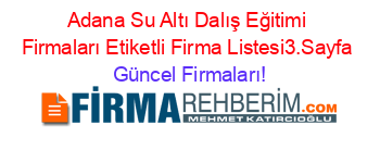 Adana+Su+Altı+Dalış+Eğitimi+Firmaları+Etiketli+Firma+Listesi3.Sayfa Güncel+Firmaları!