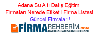 Adana+Su+Altı+Dalış+Eğitimi+Firmaları+Nerede+Etiketli+Firma+Listesi Güncel+Firmaları!