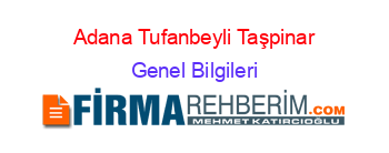 Adana+Tufanbeyli+Taşpinar Genel+Bilgileri