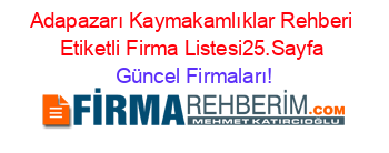 Adapazarı+Kaymakamlıklar+Rehberi+Etiketli+Firma+Listesi25.Sayfa Güncel+Firmaları!