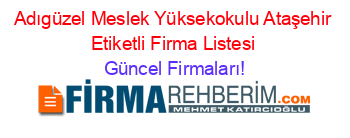 Adıgüzel+Meslek+Yüksekokulu+Ataşehir+Etiketli+Firma+Listesi Güncel+Firmaları!