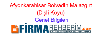 Afyonkarahisar+Bolvadin+Malazgirt+(Dişli+Köyü) Genel+Bilgileri