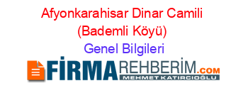 Afyonkarahisar+Dinar+Camili+(Bademli+Köyü) Genel+Bilgileri