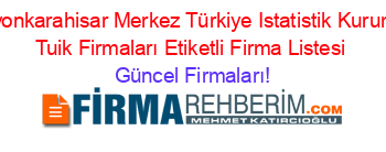 Afyonkarahisar+Merkez+Türkiye+Istatistik+Kurumu+Tuik+Firmaları+Etiketli+Firma+Listesi Güncel+Firmaları!