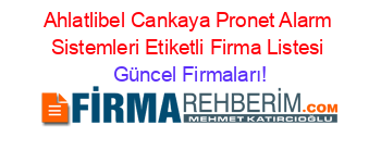 Ahlatlibel+Cankaya+Pronet+Alarm+Sistemleri+Etiketli+Firma+Listesi Güncel+Firmaları!