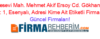Ahmet+Yesevi+Mah.+Mehmet+Akif+Ersoy+Cd.+Gökhan+Sk.+No:+2+Daire:+1,+Esenyalı,+Adresi+Kime+Ait+Etiketli+Firma+Listesi Güncel+Firmaları!