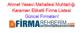 Ahmet+Yesevi+Mahallesi+Muhtarlığı+Karaman+Etiketli+Firma+Listesi Güncel+Firmaları!
