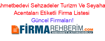 Ahmetbedevi+Sehzadeler+Turizm+Ve+Seyahat+Acentaları+Etiketli+Firma+Listesi Güncel+Firmaları!