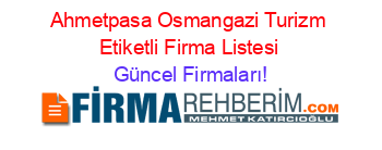 Ahmetpasa+Osmangazi+Turizm+Etiketli+Firma+Listesi Güncel+Firmaları!