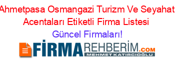Ahmetpasa+Osmangazi+Turizm+Ve+Seyahat+Acentaları+Etiketli+Firma+Listesi Güncel+Firmaları!
