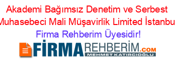Akademi+Bağımsız+Denetim+ve+Serbest+Muhasebeci+Mali+Müşavirlik+Limited+İstanbul Firma+Rehberim+Üyesidir!