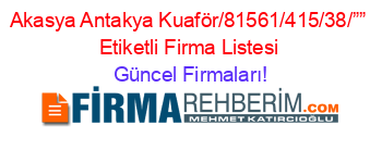 Akasya+Antakya+Kuaför/81561/415/38/””+Etiketli+Firma+Listesi Güncel+Firmaları!