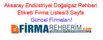 Aksaray+Endüstriyel+Doğalgaz+Rehberi+Etiketli+Firma+Listesi3.Sayfa Güncel+Firmaları!
