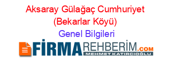 Aksaray+Gülağaç+Cumhuriyet+(Bekarlar+Köyü) Genel+Bilgileri