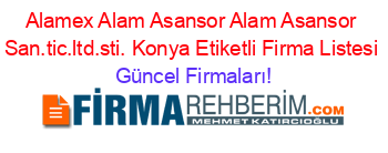 Alamex+Alam+Asansor+Alam+Asansor+San.tic.ltd.sti.+Konya+Etiketli+Firma+Listesi Güncel+Firmaları!