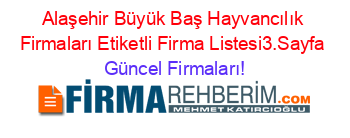 Alaşehir+Büyük+Baş+Hayvancılık+Firmaları+Etiketli+Firma+Listesi3.Sayfa Güncel+Firmaları!