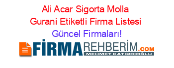 Ali+Acar+Sigorta+Molla+Gurani+Etiketli+Firma+Listesi Güncel+Firmaları!