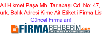 Ali+Hikmet+Paşa+Mh.+Tarlabaşı+Cd.+No:+47,+Atatürk,+Balık+Adresi+Kime+Ait+Etiketli+Firma+Listesi Güncel+Firmaları!