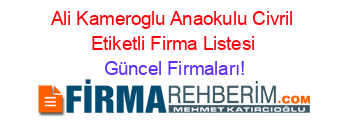 Ali+Kameroglu+Anaokulu+Civril+Etiketli+Firma+Listesi Güncel+Firmaları!