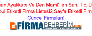 Alkan+Ayakkabı+Ve+Deri+Mamülleri+San.+Tic.+Ltd.+Sti.+Istanbul+Etiketli+Firma+Listesi2.Sayfa+Etiketli+Firma+Listesi Güncel+Firmaları!